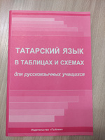 Татарский язык в таблицах и схемах для русскоязычных учащихся #2, Айнур Х.