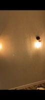 Лампочка светодиодная E27 / Е27 Эра LED ST64-7W-824-E27 gold филаментная #8, Марина Б.
