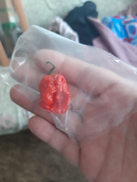 Свежие семена острого перца Carolina Reaper Red, сбор 2024 год. От 5 шт в упаковке #4, Роман С.