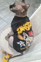 Одежда для кошек сфинкс с принтом "Gansta Cat" размер L для котов и собак мелких пород, ALFAKOT (Альфакот) #5, Оганезян Алла
