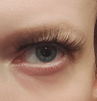 Luxury Lashes Магнитные ресницы 2д с подводкой аниме многоразовые 1 пара #26, Ирина Ш.