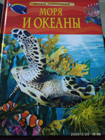 Моря и океаны. Детская энциклопедия школьника 7 лет | Хайнс Майти Дуг #4, Зотова Мария