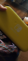 Жесткий кейс на молнии Carry Bag (желтый) для Nintendo Switch Lite #2, Данила Ф.