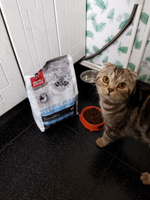 БЛИТЦ корм д/кошек стерилизованных STERILISED CATS 2 кг, шт #1, Александр Ш.
