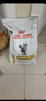 Royal Canin Urinary S/O Сухой корм для кошек при заболеваниях мочевыделительной системы 3,5 кг #23, Евгений И.