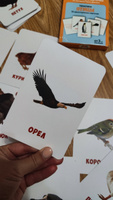 Карточки для малышей развивающие от 0+ "Птицы" (Обучающие логопедические карточки Домана для детей) 30 шт. #49, Алена Х.