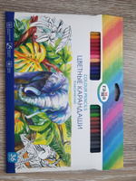 Набор цветных карандашей для рисования Гамма "Классические", 36 цветов, заточен., картон. упаковка, европодвес #151, Захар М.