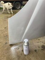 Краска в баллончике Elcon универсальная алкидная глянцевая белая RAL 9003, 520 мл #62, Денис К.