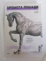 Хромота лошади. Причины. Симптомы. Лечение | Руни Джеймс Р. #7, Даниил К.