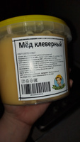 Мёд Клеверный натуральный 1 кг #42, Vlada