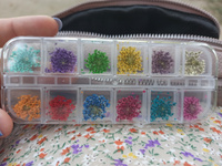 Сухоцветы для дизайна ногтей D 1-2 см. + пластиковый кейс, 36 шт. соцветий, набор 12 расцветок. #125, Татьяна З.
