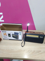 Радиоприемник с функцией беспроводной колонки bluetooth и солнечной батареей от сети, батареек, аккумулятора - портативное ретро радио на кухню с фонариком - FM, AM, SW, с USB, microSD, MP3 #6, Леонора Ц.