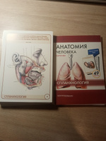 Анатомия человека. Спланхнология. Учебное пособие (набор из 49 карточек) | Сапин Михаил Романович, Николенко Владимир Николаевич #24, Александра Н.