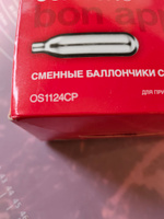 Сифон для газирования воды, 10 баллончиков + сироп для приготовления 5 л натурального лимонада, HAIDEL RW 2, серебристый #37, Татьяна М.