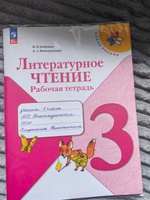 Литературное чтение 3 класс. Рабочая тетрадь к новому ФП. УМК "Школа России". ФГОС | Бойкина Марина Викторовна, Виноградская Людмила Андреевна #6, Наталья Е.