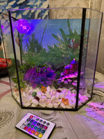 Светящиеся камни для декора аквариума, цветов, дачи и сада 1 кг #107, Альвина С.