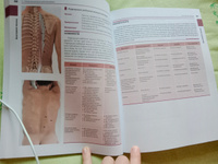Мышцы в спорте. Анатомия. Физиология. Тренировка. Реабилитация #8, Саша Л.