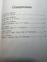 Зимние истории: Сказки зарубежных писателей. Книга сказок для детей #6, Светлана П.