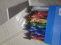 Maped Набор карандашей, вид карандаша: Цветной, 24 шт. #83, Асия Д.