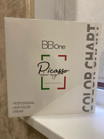 BB One / Палитра цветов красок для волос в салон красоты, для парикмахера колориста Picasso/Color chart A3  #1, марина
