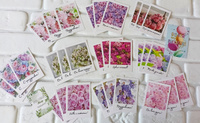 Мини открытки набор с цветами девушке маме учителю воспитателю #10, Анастасия В.