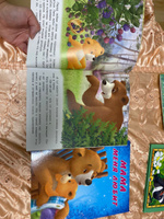 Сказки для детей из серии "Мишка и его семья" комплект книг | Коваль Татьяна Леонидовна #60, Нина Ж.