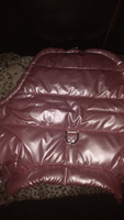 Куртка для собак мелких пород и кошек Arnydog "Лондон" розовая, L (30 см) #2, Юлия П.