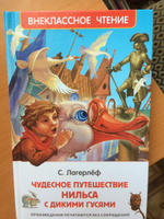 Лагерлёф С. Чудесное путешествие Нильса с дикими гусями. Сказка Приключения Внеклассное чтение 1-5 классы | Лагерлеф Сельма #3, Ольга П.