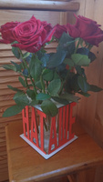 Подарок девушке, ваза для цветов, подставка с именем Наташа; сувенир на день рождения,14 февраля годовщину Новый год, идея подарка на 8 марта #5, Олег К.