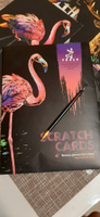 Набор цветных гравюр (Scratch cards) Magical Animals 4 картины формата А4 #30, Лариса О.
