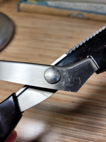 Ножницы фигурные зигзаг шаг 4 мм для рукоделия 23 см #66, Наталья Б.