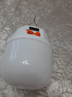AEA Подвесной светильник, LED, 100 Вт #179, Валентина Н.