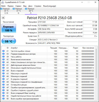Patriot Memory 256 ГБ Внутренний SSD-диск P210 2.5" SATA3 6.0 Гбит/с (P210S256G25) #90, Сергей