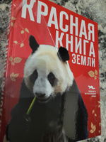 Красная книга Земли (новое оформление) | Скалдина Оксана Валерьевна, Слиж Евгений Александрович #6, Любовь В.