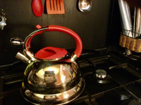 Чайник для плиты Мерали из нержавеющий стали со свистком 3 литра для всех видов плит #19, Нина П.