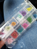 Сухоцветы для дизайна ногтей D 1-2 см. + пластиковый кейс, 36 шт. соцветий, набор 12 расцветок. #63, наталья п.