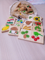 Деревянное лото Томик "Растительный мир", развивающая настольная игра для малышей, 6 карточек + 48 фишек #3, Румия К.