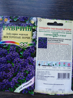 Семена Лобулярия морская Восточные Ночи, 2 пакетика по 0,05г/100шт #31, Ирина К.