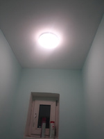 IN HOME Потолочный светильник, LED, 12 Вт #4, Физалия Н.