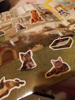 Многоразовые наклейки для малышей, Буква Ленд, "Кошки и собаки", книжка с наклейками #43, Светлана
