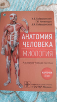 Карточки Анатомия человека. Миология. Наглядное учебное пособие про мышцы и мышечную систему тела для студентов медицинских вузов | Ничипорук Геннадий Иванович, Гайворонский А. И. #4, Ольга Б.