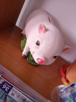 Копилка для денег. Свинка Gluckliches Schwein самая популярная из всех свинок. С резиновым клапаном. Не разбивать. Вечная копилка. #18, Кристина Л.