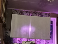 Экран для проектора антибликовый Wanbo Anti-Light Curtain #8, Виктор К.