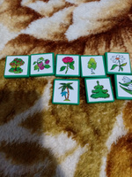 Развивающая игра Лото "Растения-животные", настольная игра для малышей, 48 пластиковых фишек + 6 карточек #8, Евгения Б.