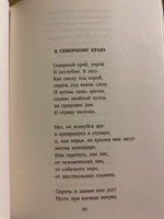 Бродский.Письма римскому другу.Избранные стихотворения | Бродский Иосиф Александрович #4, Валерия С.