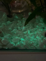 Светящиеся камни для декора аквариума, цветов, дачи и сада 1 кг #54, Наталья К.