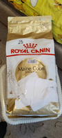 Royal Canin Maine Coon Adult (Роял Канин Эдалт со вкусом птицы) корм для взрослой кошки породы Мэйн Кун 2 кг #18, Михаил Ф.