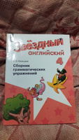Английский язык 4 класс. Сборник грамматических упражнений. УМК "Звездный английский Starlight". ФГОС | Рязанцева Светлана Борисовна #7, Данелия