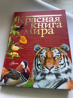 Красная книга мира | Молюков Михаил Игоревич, Пескова Ирина Михайловна #2, Надежда Л.