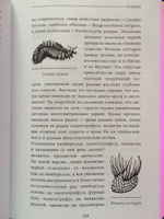 Палеонтология антрополога. Том 1. Докембрий и палеозой. 2-е издание: исправленное и дополненное | Дробышевский Станислав Владимирович #1, Маргарита Ш.